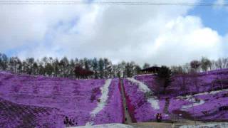 日本北海道東藻琴芝櫻公園