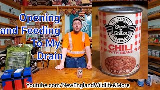 Opening 38 Year Old Chili and Beans. FT The Drain