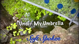 ASMR Rain on plastic umbrella (Soft Spoken) Nature walk/ Running water/ No-talking version tomorrow.