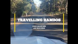 LOGUE BROOK - LAKE BROCKMAN | CAMP TRIP | WESTERN AUSTRALIA