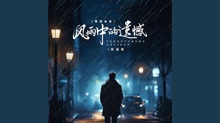 风雨中的遗憾 (Dj京仔粤语金曲版)