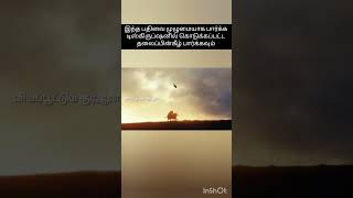 அல்லாஹ்வின் சத்தியம்#குர்ஆன்#ஹதீஸ்#tamilbayan#status#shorts#அல்லாஹ்#Allah#arrahman#tamil