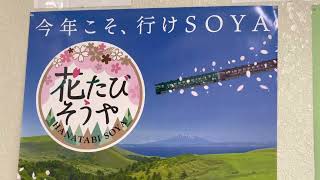 南稚内駅　花たびそうや運転記念装飾