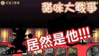 《哲平》手機遊戲 貓咪大戰爭 - 終焉宣告之夜 - 紅狐之聖者 ( 萬萬沒想到!! 居然會遇到他!! )