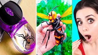 AMAZING THINGS You Have Never Seen Before !