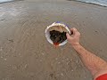 new bait pump collecting black lug worm down at cleveleys beech