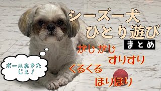 #32[シーズー犬]ワンちゃんのひとり遊び！スリスリ！ホリホリ！色々集めてみました！