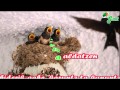 Anttoni eta Antton -Sakabi-