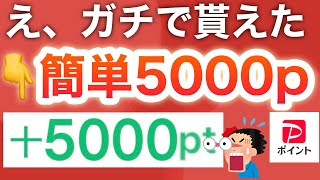 コレ超簡単にできるのにガチで付与された‼︎PayPay最大5000pも今日から