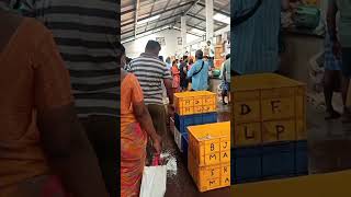 வானகரம் மீன் மார்கெட் ## vanagaram fish market ## குறைந்த விலையில் மீன் வாங்க சிறந்த இடம் 🐠🐠🐠