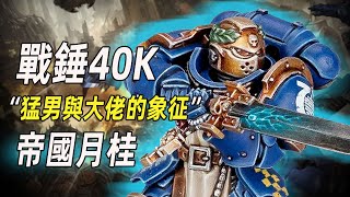 【戰錘40K】無所畏懼裡泰圖斯頭盔上的樹葉是什麼？【帝國月桂】