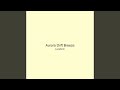 Aurora Drift Breeze
