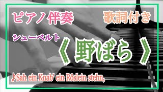 音大院卒【ピアノ伴奏】《 野ばら 》シューベルト【歌詞付き】Heidenröslein/Schubert