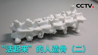 “活起来”的人造骨（二）：3D打印仿生骨抗压能力如何？试验结果让人震惊！20221201 |《创新进行时》CCTV科教