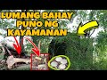 LUMANG BAHAY SA TAAS NG BUNDOK||NAGKALAT ANG PERA