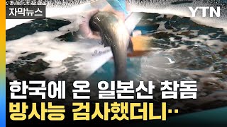 [자막뉴스] \