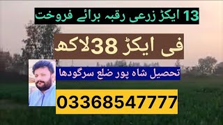 13 ایکڑ زرعی زمین برائے فروخت فی ایکڑ 38 لاکھ تحصیل شاہ پور ضلع سرگودھا 03368547777