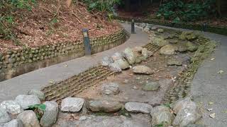 Uncut footage flying up a dried stream at the Baguashan Buddha Temple in Taichung, Taiwan