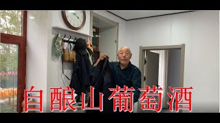 2022 第338期 自家葡萄园的山葡萄，自酿葡萄酒，急性格的刘大爷亲自上阵帮王勇