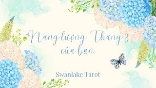 NĂNG LƯỢNG THÁNG 3 CỦA BẠN CÓ GÌ ĐẶC BIỆT?|| SWANLAKE TAROT