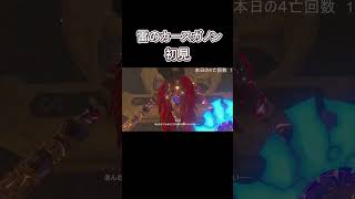 みんなのトラウマ【死んだらスマブラで一勝しないといけないゼルダの伝説 ブレス オブ ザ ワイルド】#zelda  #ブレスオブザワイルド