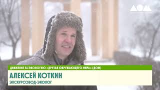 Что такое экотуризм, почему он становится всё популярнее? Видео об Алексее Коткине.