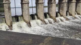 bethamangala dam🌧️🌧️🌊🌊🌊