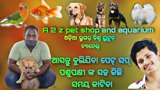 ଆସନ୍ତୁ ବୁଲିଯିବା ପେଟ୍ ସପ୍//pet shop vlog video//A 2 Z pet shop,Nayagarh//odia vlogger Biswa