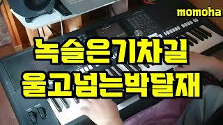 녹슬은기차길 / 추억읙 트로트 경음악 / 전자올겐 옛날노래