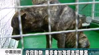 20131209公視中晝新聞－降收容動物安樂死率 將推多元認養