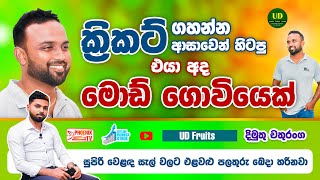 වස විස නැති එළවලු පළතුරු ඕනිද...?  Episode 26 | Ceylon Business Stage | Fresh vegetables and fruits