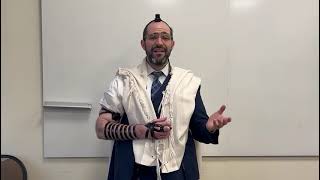 Checking Tefillin and Mezuzot During Elul - Rav Meir Elbaz 5783