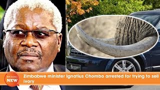 Zimbabwe minister Ignatius Chombo arrested for trying to sell ivory