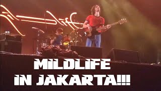 Mildlife - The Magnificent Moon (live in Jakarta!)