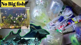 New fish unboxing 😃 सभी मछली सावधानी से मिल गई 23-1-2023