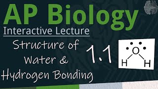 AP Biology - 1.1 Structure of Water \u0026 Hydrogen Bonding - Interactive Lecture