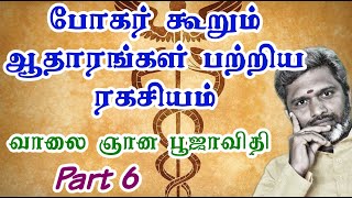 ஆதாரங்களைப்பற்றி போகர் கூறும் ரகசியம்.| வாலை ஞான பூஜாவிதி | Part 6