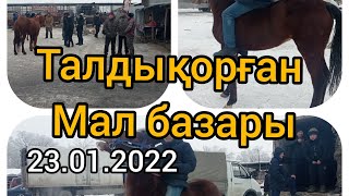 Мал базары 23.01.2022 Талдықорған Балпық би мал базары #малбазар2022#малбазар2021 #талдыкорган