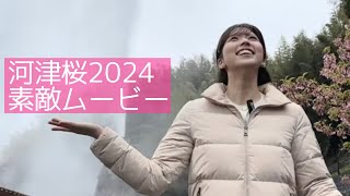 小林李衣奈キャスターと河津桜素敵ムービーを作ろう2024