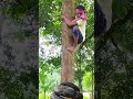 anaconda attack in jungle tree 227 vgx anaconda viralworld vfxsnake videos