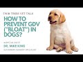 How to prevent GDV [a.k.a Bloat] in Dogs │ Twin Trees Vet Talk (FREE VET ADVICE PODCAST)