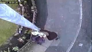 Timmmmmmmber! vandals chop down anti yob spy camera