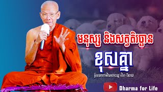 មនុស្ស និងសត្វតិរច្ឆានខុសគ្នា-ព្រះមហាវិមលធម្ម ពិន សែម [Dharma for Life]