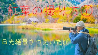 【ゆるふわ絶景】紅葉の撮り方「前編」日光絶景さつえいたび🚙