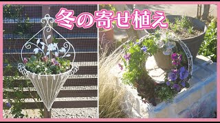 おかんとちょびのガーデニング #43 冬の寄せ植え