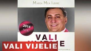 VALI VIJELIE & ASU - MAREA MEA IUBIRE (HIT 2014)