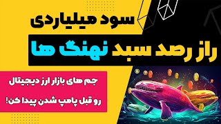 پیدا کردن کیف پول نهنگ‌ها + شناسایی ارزهای دیجیتال قبل از پامپ