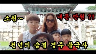 천년의숨결이 살아숨쉬는 경주 불국사에가서 즐거운시간을 보내며 힐링하고 왔어요 일상브이로그