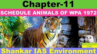 Shankar IAS Environment: Chapter-11 Schedule Animals of WPA 1972 | For UPSC, SSC, State PCS etc.