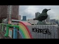 this is shibaura an artificial island over tokyo bay in japan · 4k